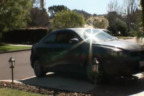 chap made to suck black dick