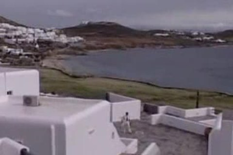 Eat & poke Navy asshole