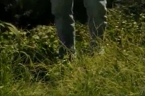 Muscle bang In The Woods