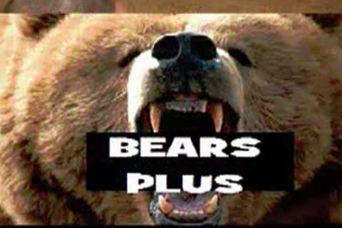 Bears Plus