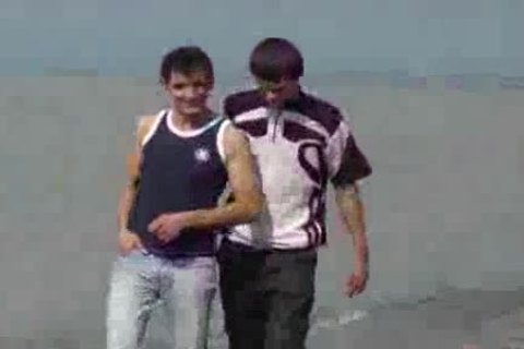 Breeding In The Woods