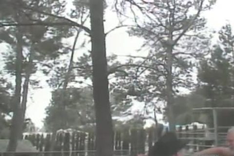 new Cowtwink In Town