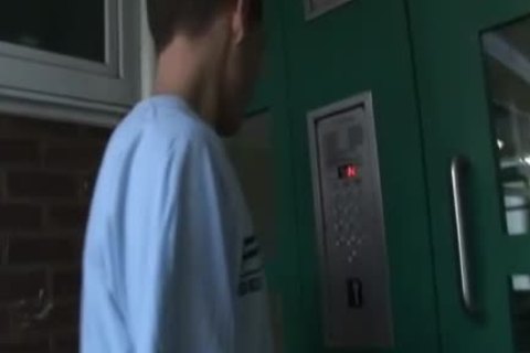 immodest Chavs suck & pound