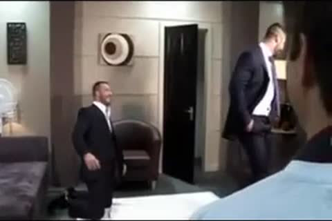 wild gay Bears sucking & screwing