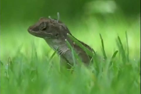 filthy dark mans Having enjoydudest - Negros Se Divertindo