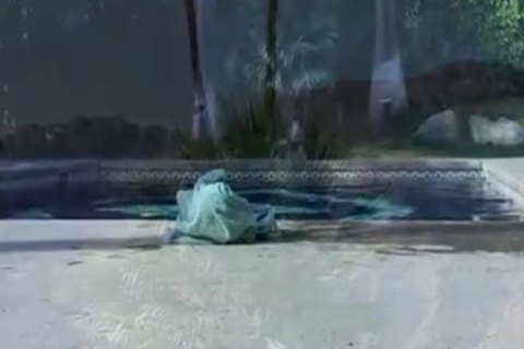 LE ROMPEN EL CULO A ROGAN RICHARDS