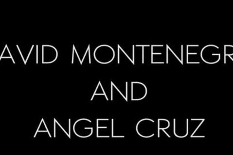 David-girl Www.blogmaxegatos.co