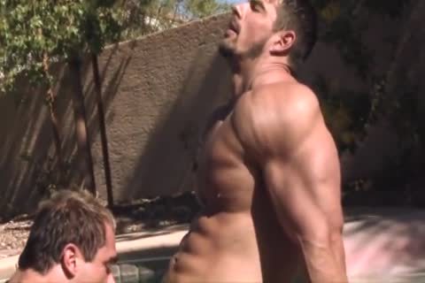 Zeb Atlas And Skye Woods