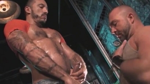 Mature likes plowing hard