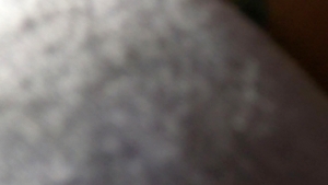 Dick Rides: The Forbidden Fruit on a Quickie Ride