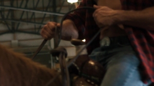 Men: Horseback Havoc for Two